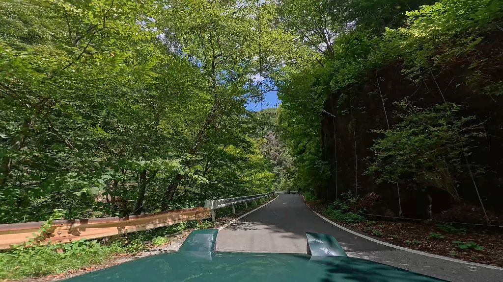 栃木県道293号庚申山公園線